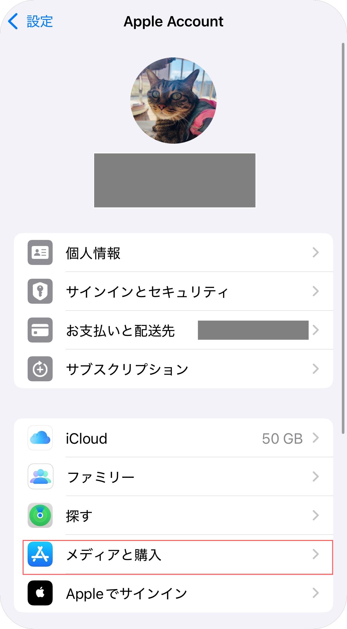 iTunesとApp Storeの設定を確認する