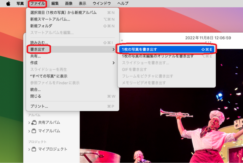 1枚の写真を書き出す