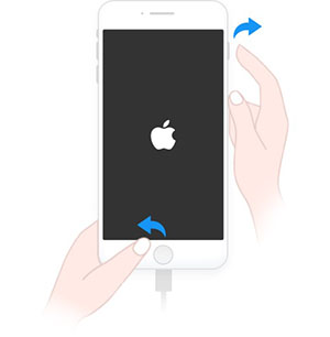 iPhone 6s以前の機種　Appleロゴが表示されるまで押し続ける。