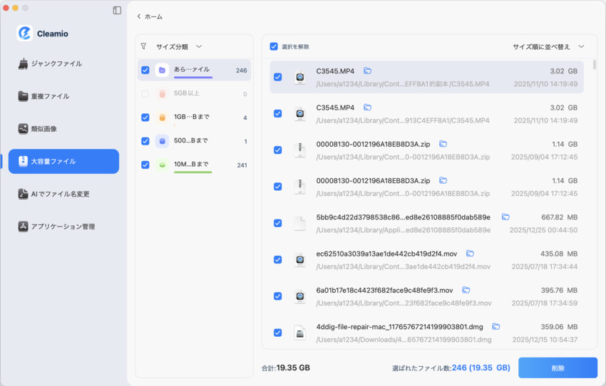 最も大きなファイルを確認