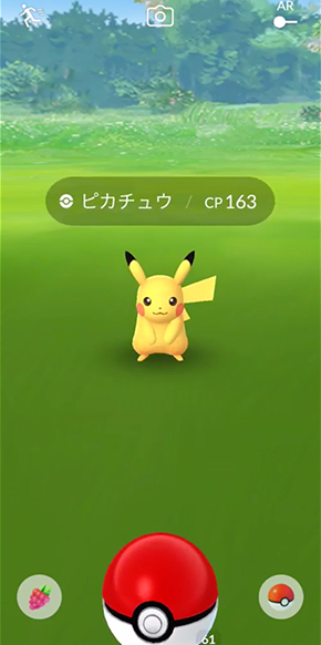 ポケモン ゲット