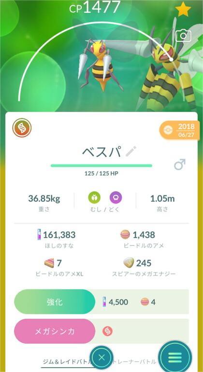 メガシンカ