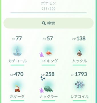 ブラッキー 進化