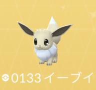 色違いブラッキー