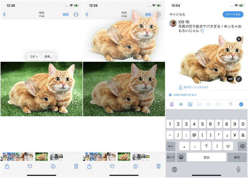 iPhone 写真 切り抜き twitter