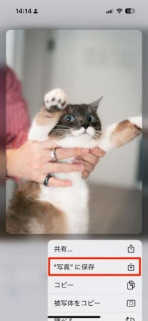 保存方法がわからない・間違っている