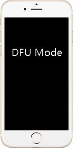 iphone dfu - Tenorshare ReiBootのガイド