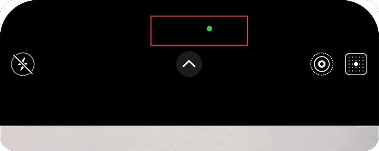iphone カメラ 緑 の 点