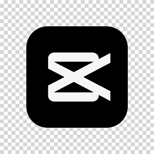 AI雪加工　アプリ