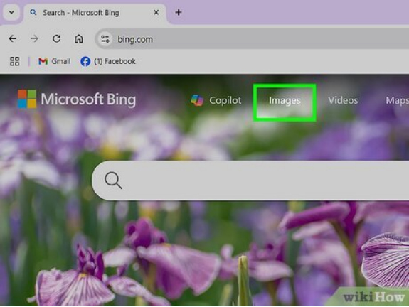 Bing Visual Search