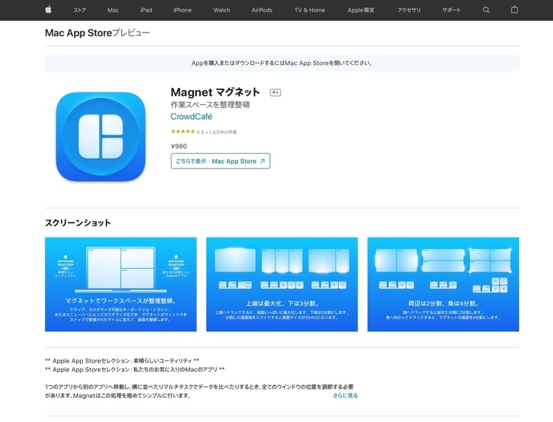 Magnet