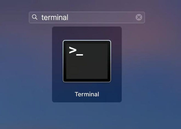 Terminal 실행