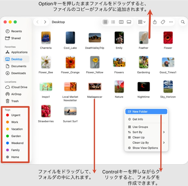 タグでファイルを色分けして管理する画面