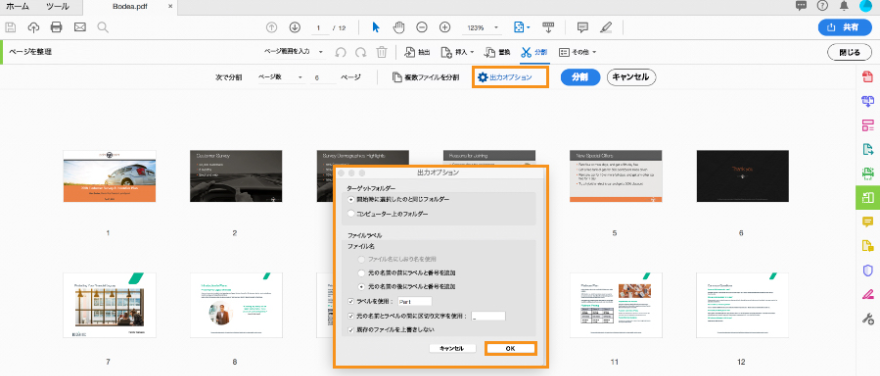 出力オプションを設定