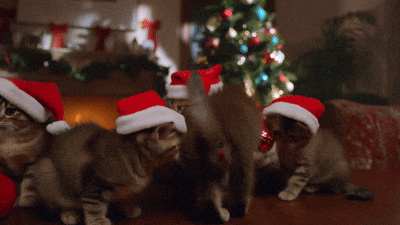 LINE聖誕節影片 可愛療癒系