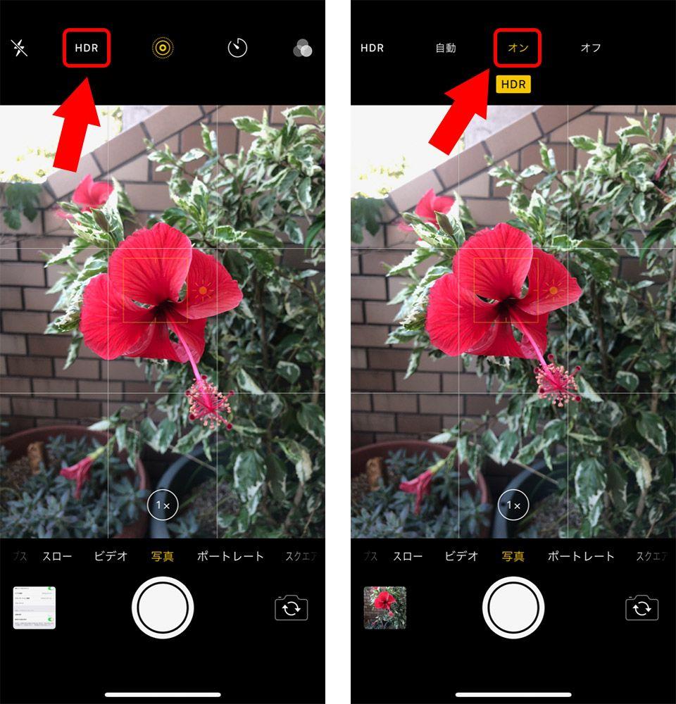 写真 逆光 補正 hdr