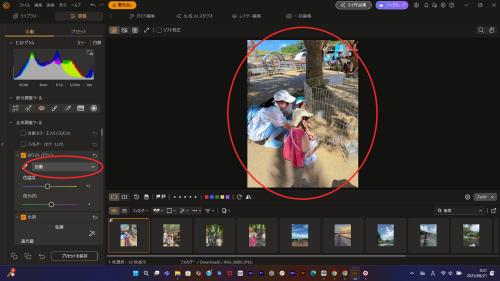 PhotoDirector ホワイトバランスの自動補正