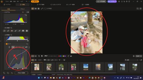 PhotoDirector トーンカーブ補正