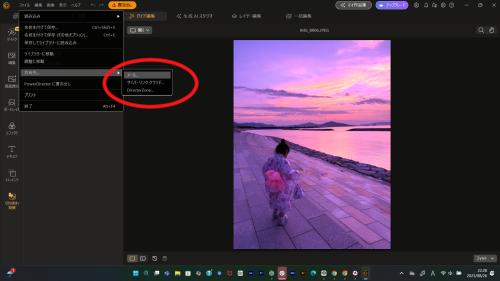 PhotoDirector 共有