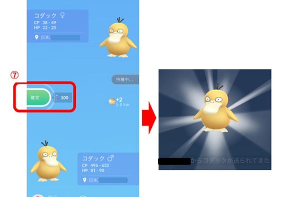 ポケモン　交換オプション