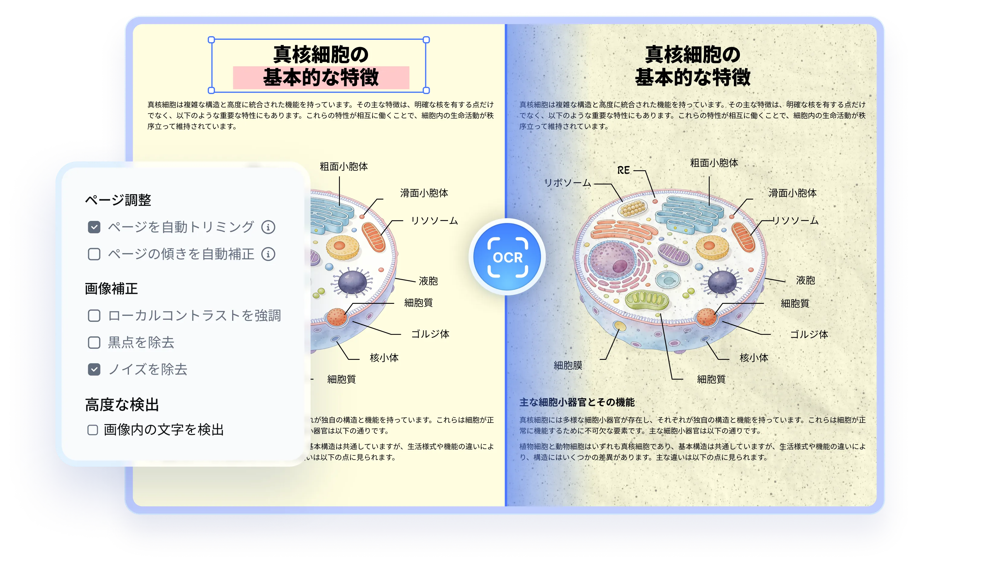 pdnob pdf OCRを実行