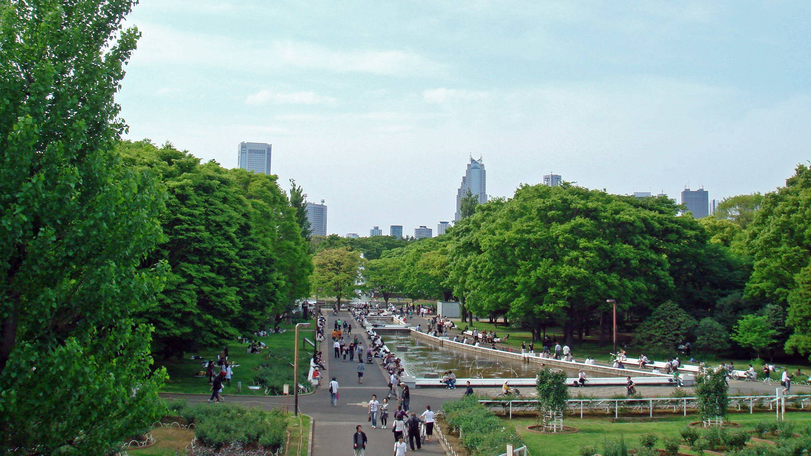 東京都、代々木公園