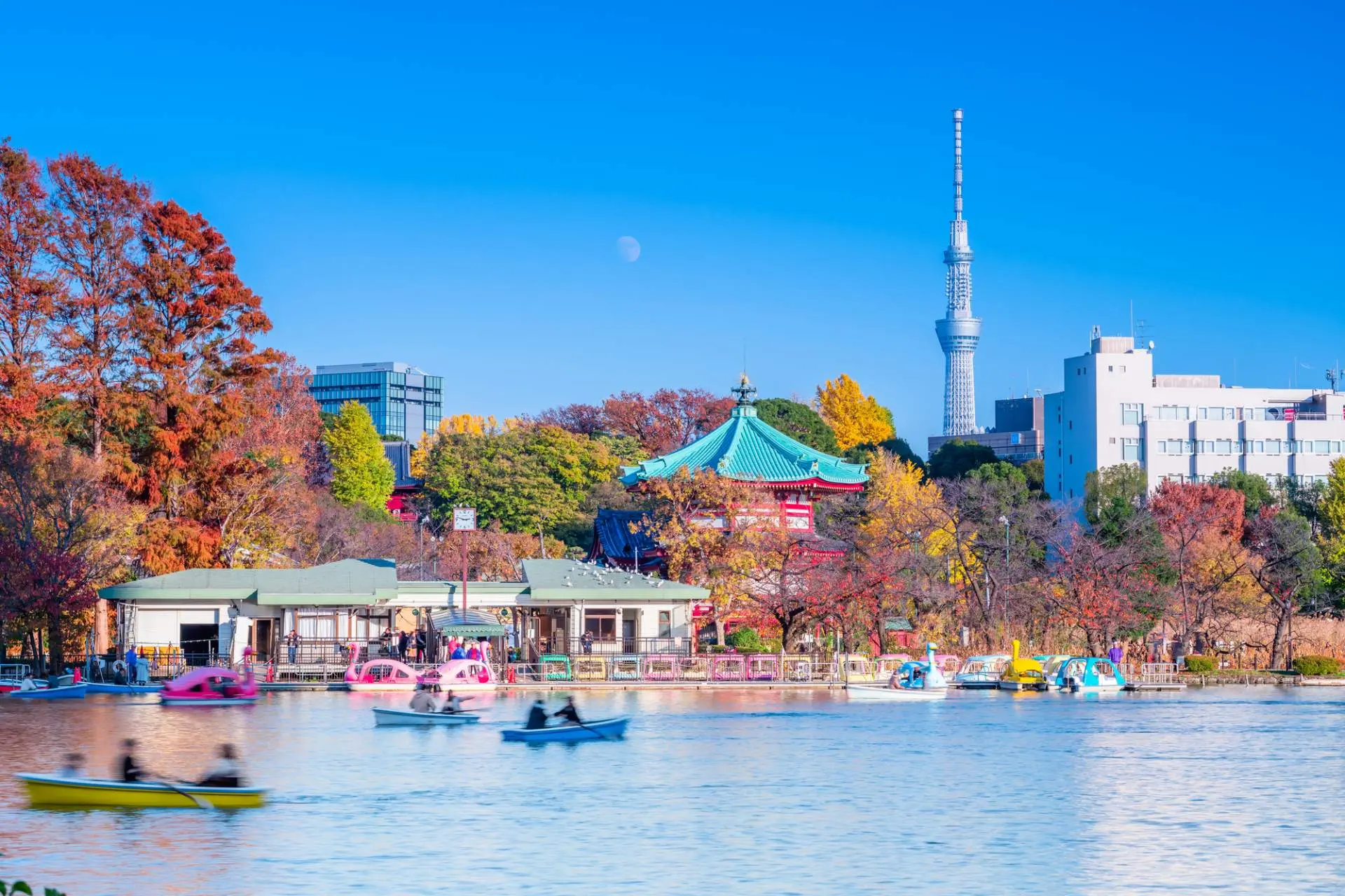 東京都、上野公園