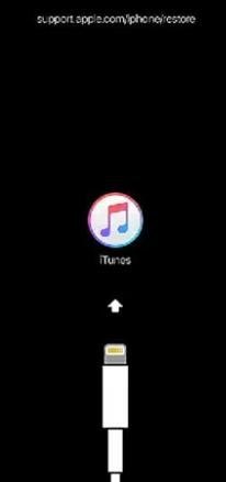apple id パスワード 忘れた 初期化できない