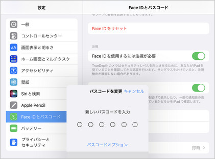 iPad パスコードオプション 選択